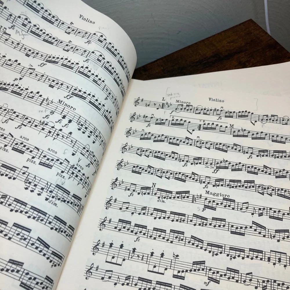 Haydn Trios Band I Piano Violin Cello Sheet Music Edition Peters Nr 192a Vintage